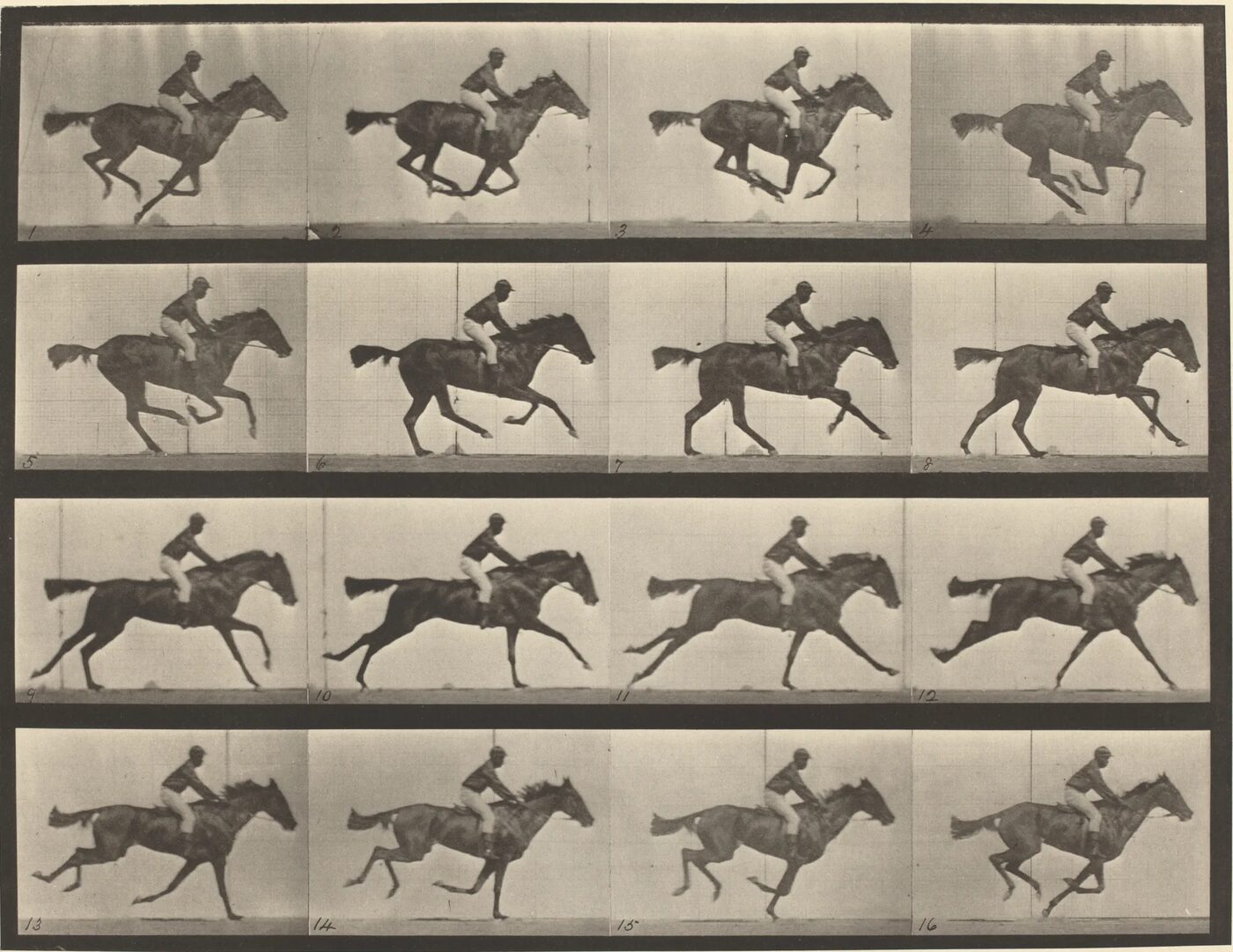 Sixteen sequential photographs of a jockey on a galloping horse, arranged in four rows